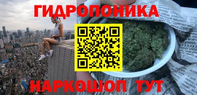 крисы Комсомольск-на-Амуре