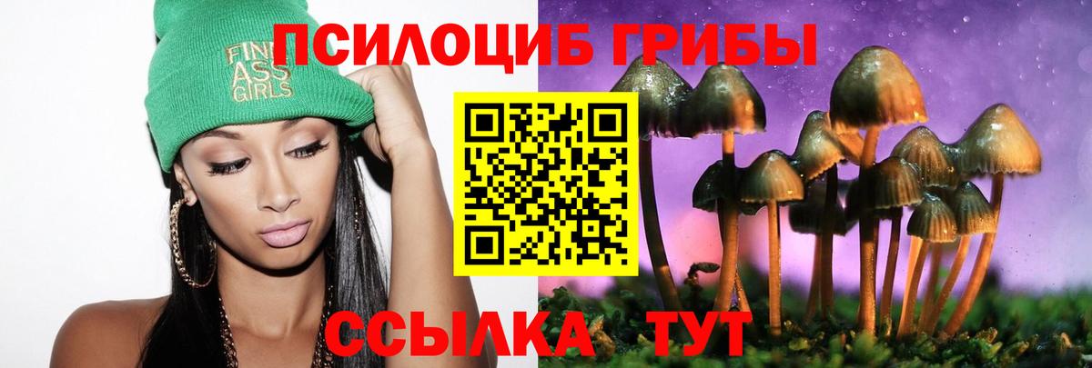 Гудермес  Галлюциногенные грибы прущие грибы  Вход с VPN  Галлюциногенные грибы MAGIC MUSHROOMS 